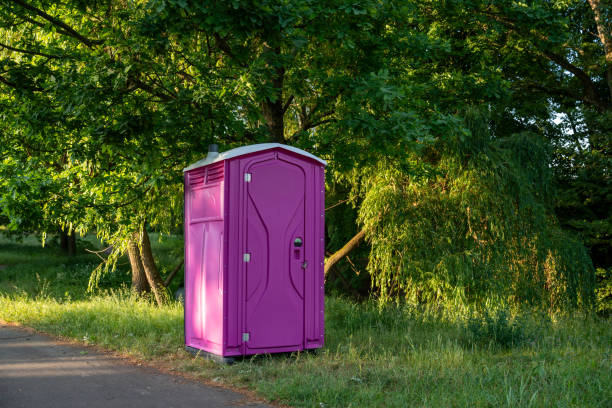 Best Portable restroom solutions  in Petersburg, MI